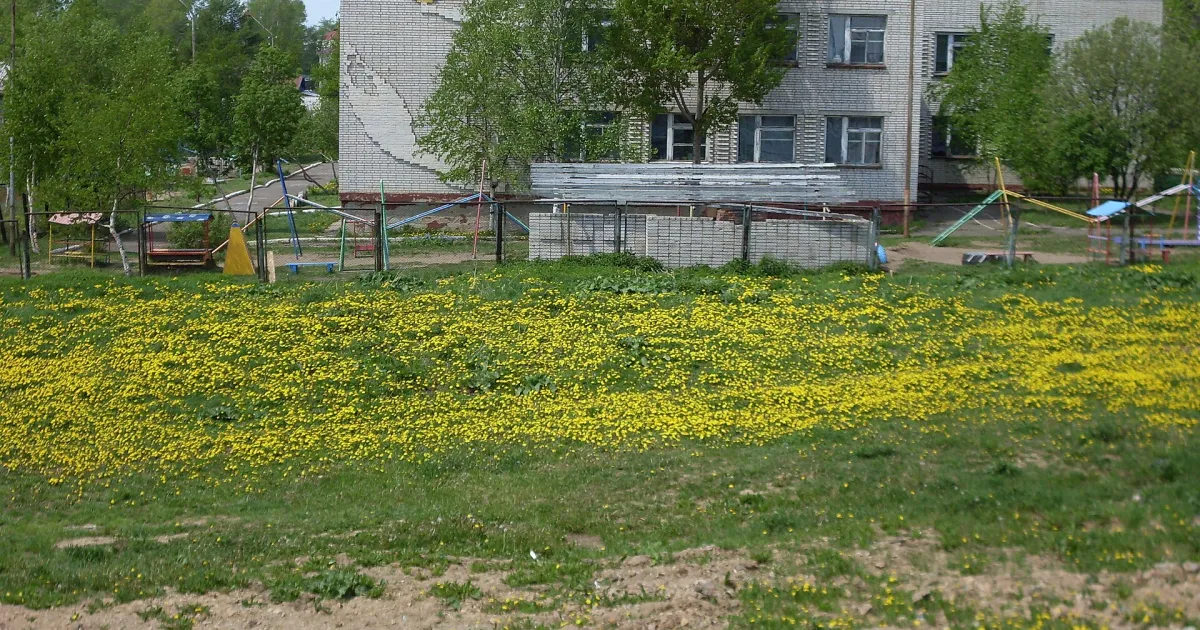 Николаевск-на-Амуре — вид аэропорта